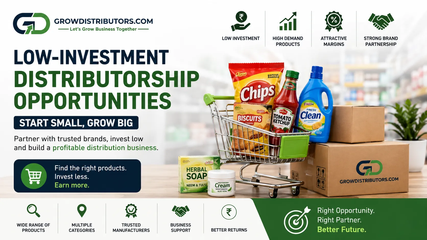 Low-Investment Distributorship Opportunities in India: How to Choose the Right One