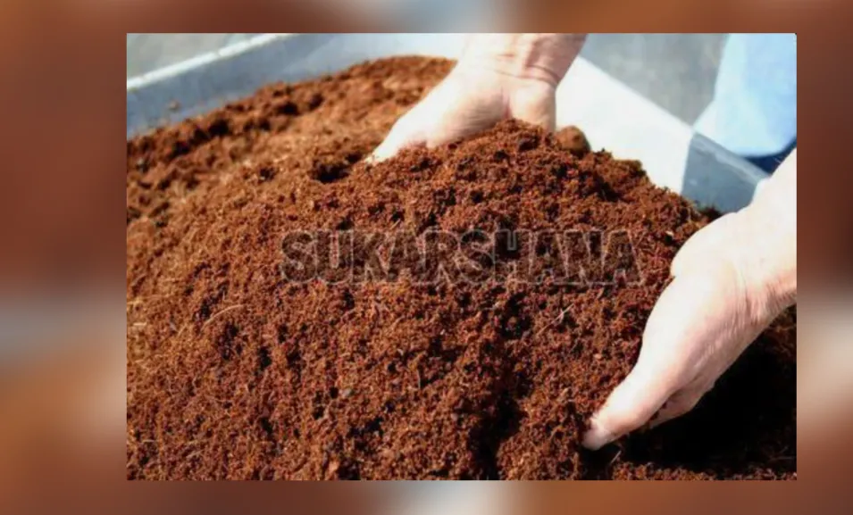 Organic Vermicompost Fertilizer