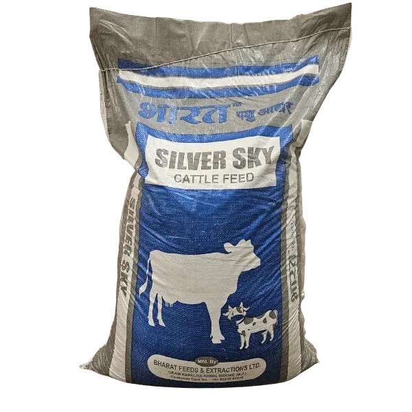 Silver Sky