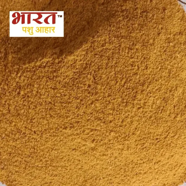 Maize Gluten