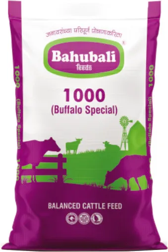 Bahubali 1000