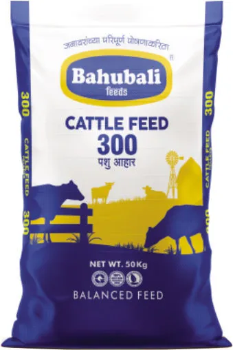 Bahubali 300
