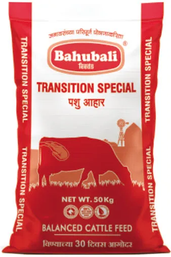 Transition Special