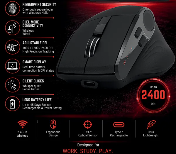 KEY FEATURES