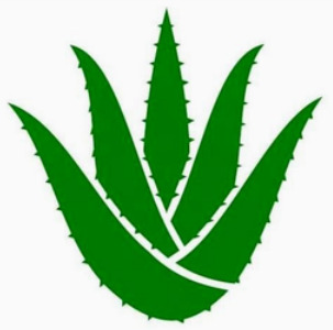 AURANECTRA WELLNESS