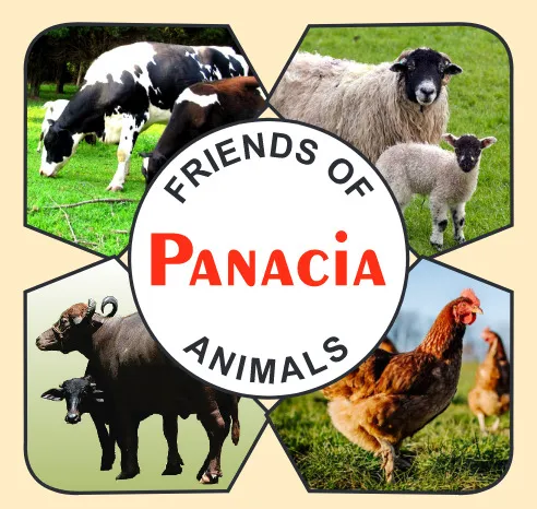 Panacia Health Care Pvt. Ltd.